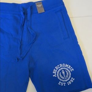 Abercrombie & Fitch Blue Fleece Logo Shorts NWT